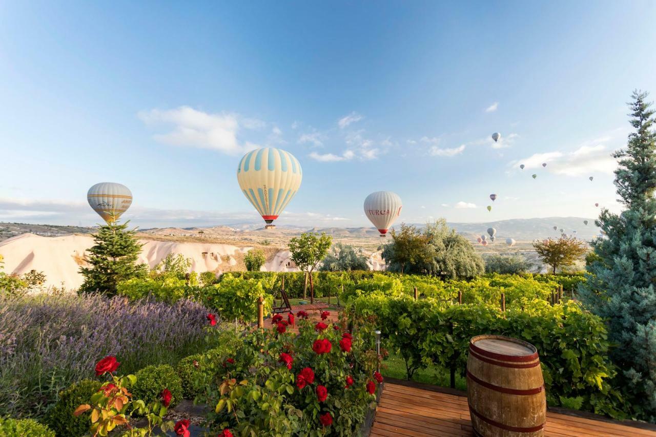 Ariana Sustainable Luxury Lodge - Special Category - Cappadocia Üçhisar Buitenkant foto